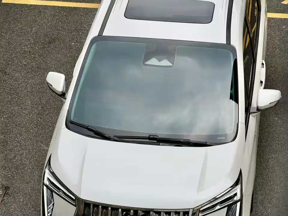 Trumpchi Trumpchi E9