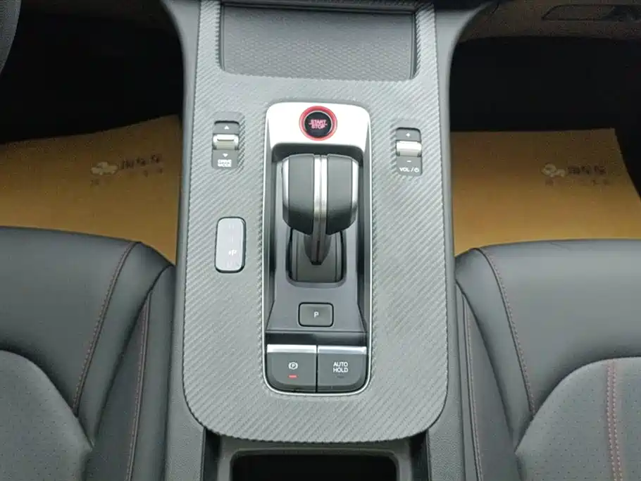 Trumpchi Shadow Leopard