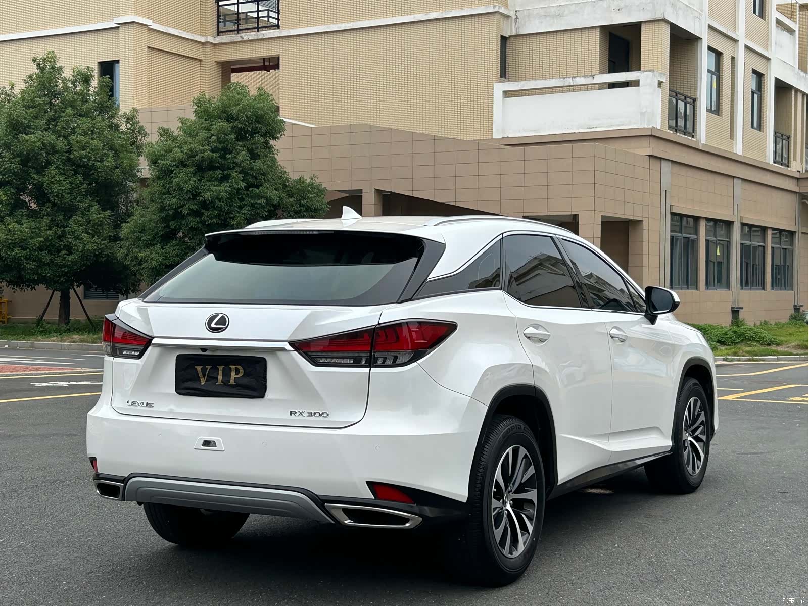Lexus RX, 2021 6