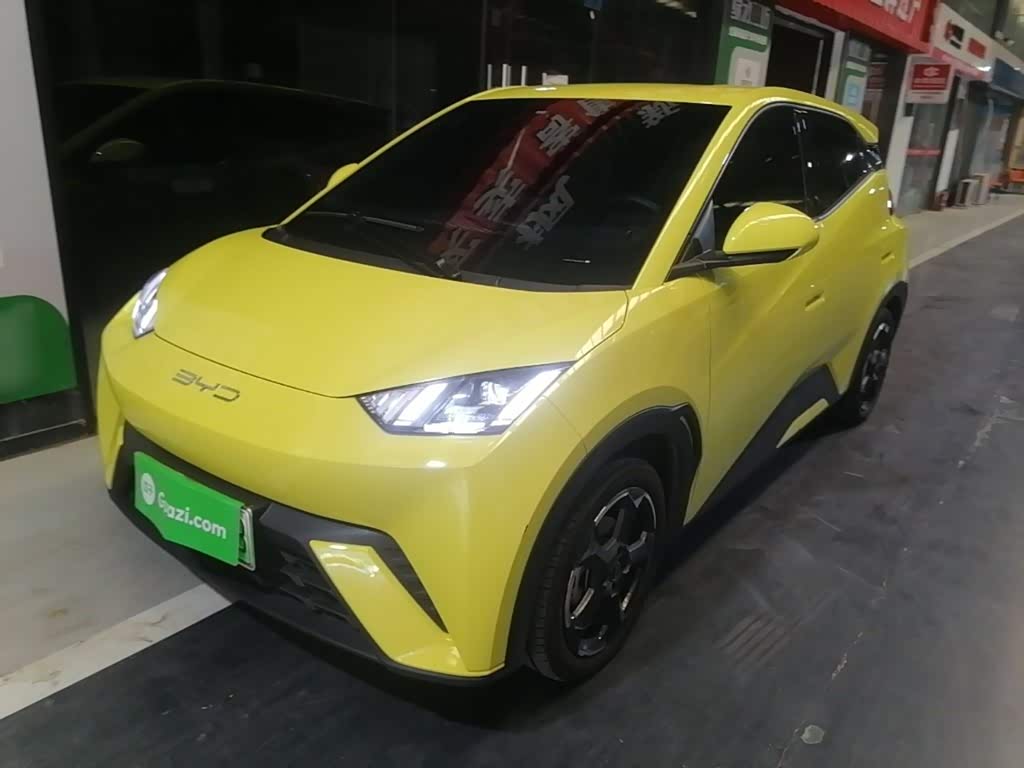 BYD Seagull