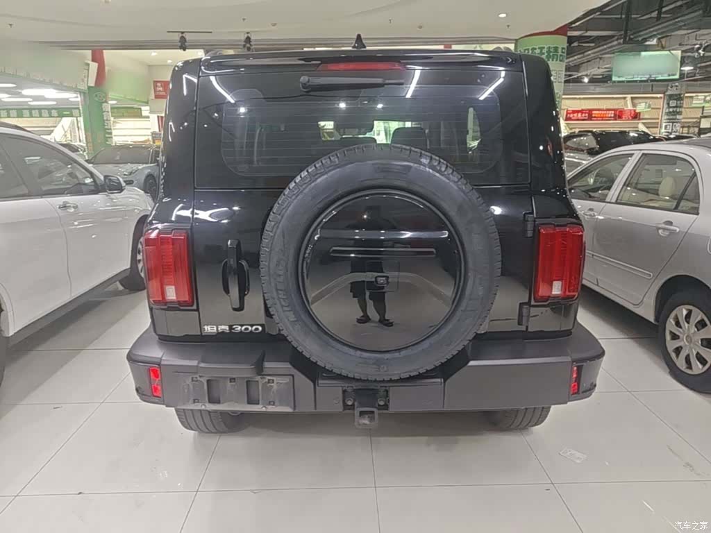 Tank 300, 2023 6