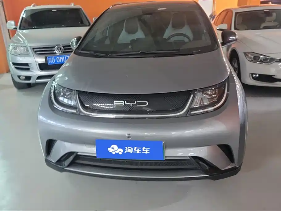 BYD dolphin