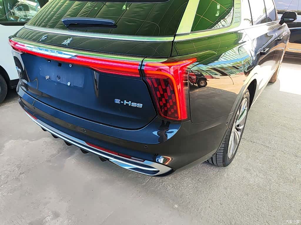 Hongqi E-HS9, 2023 8