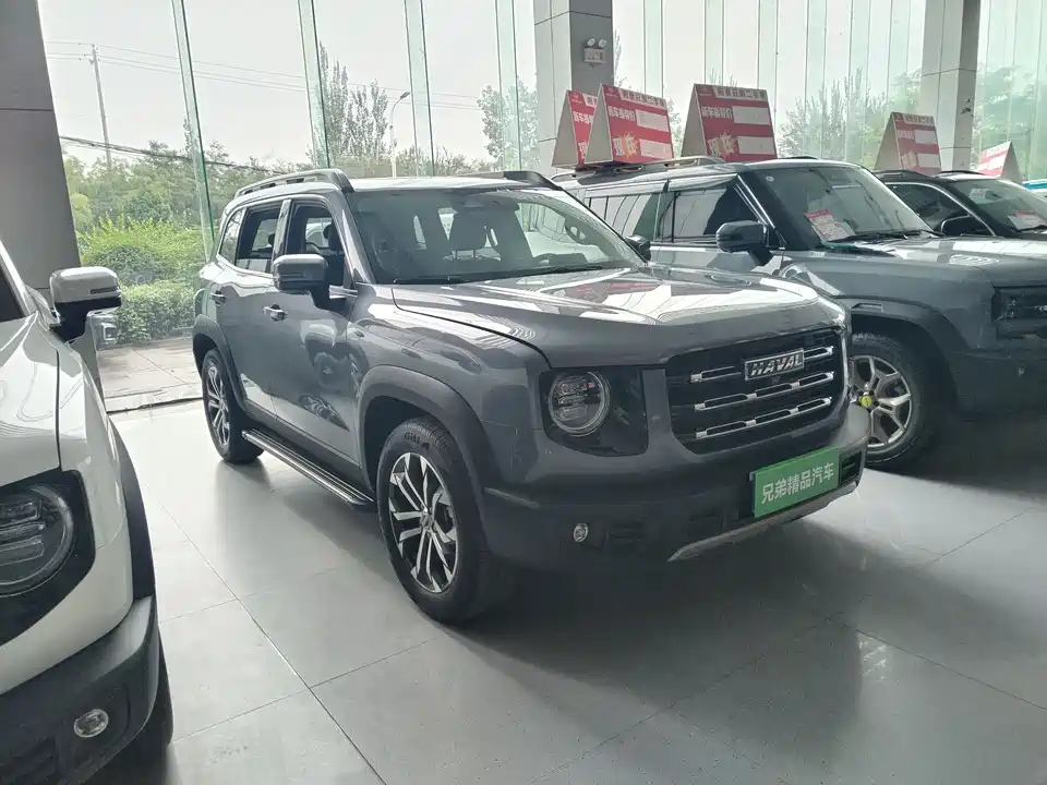 Haval Big dog