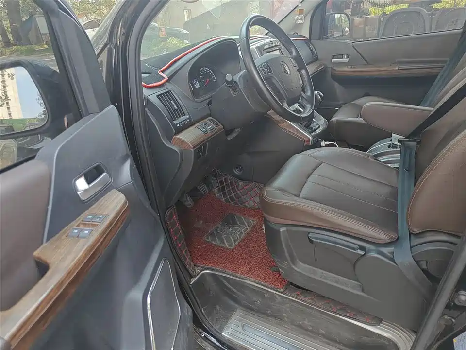 Forthing Lingzhi PLUS