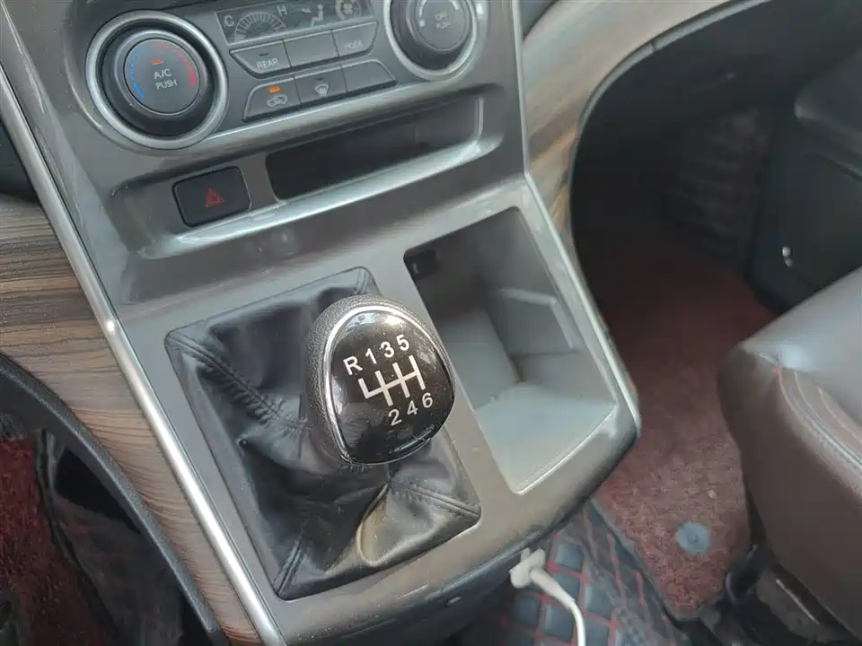 Forthing Lingzhi PLUS