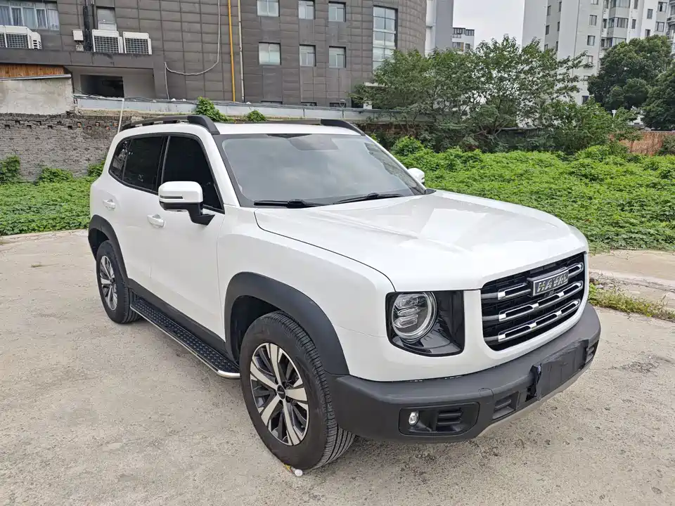 Haval Big dog