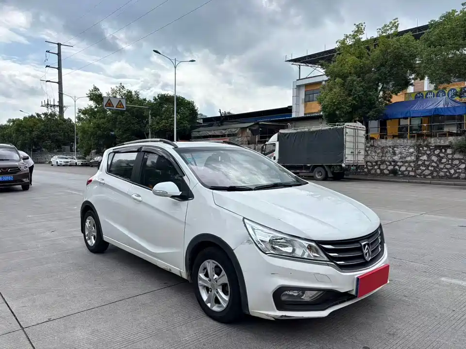 Baoding 310