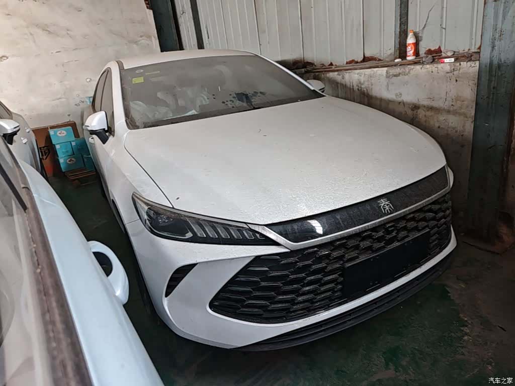 BYD Qin, 2026 4