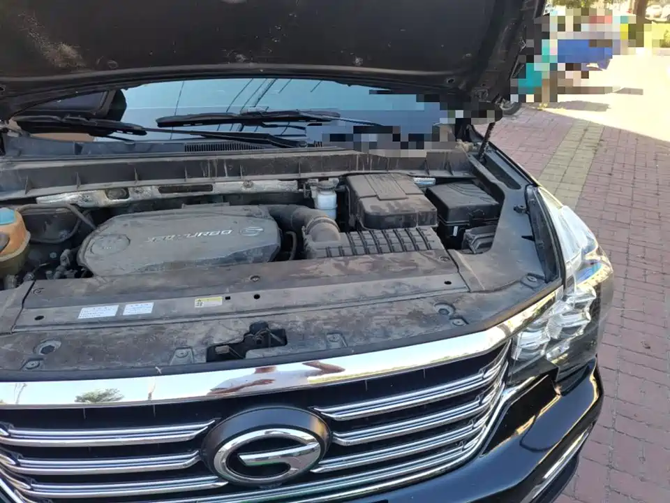 Trumpchi Trumpchi GS8