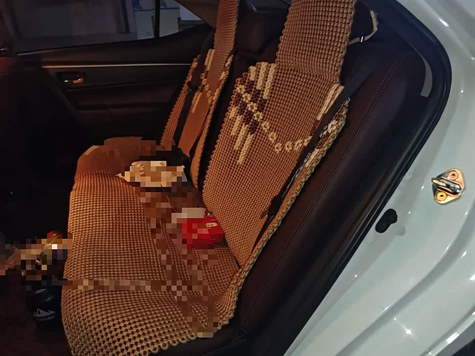 Toyota Ralink Dual Engine E+