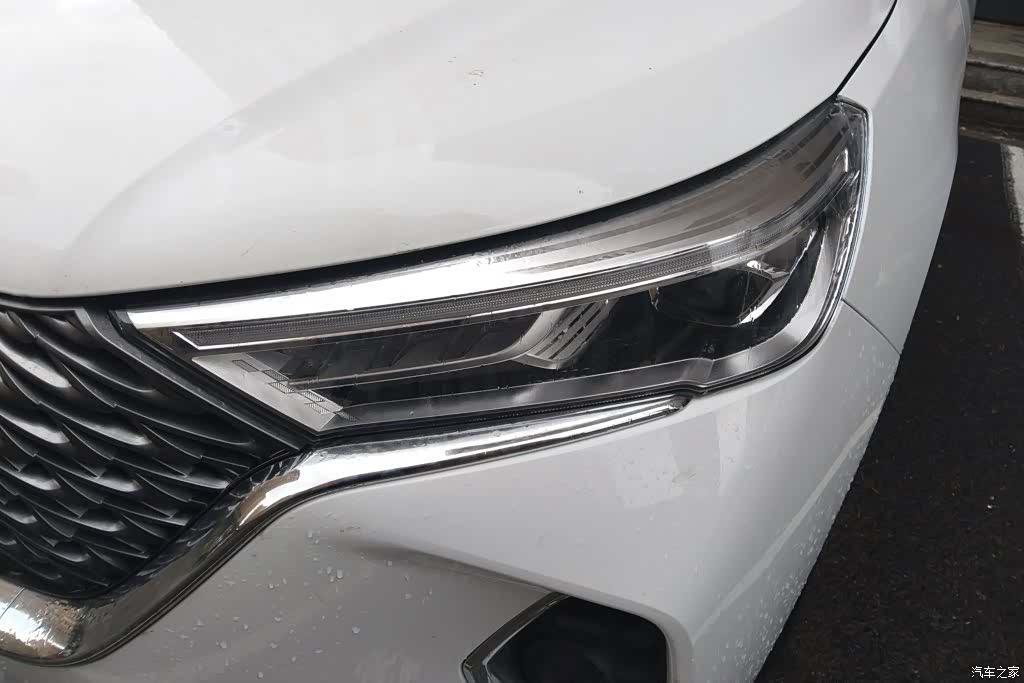 Haval M6, 2024 все фото