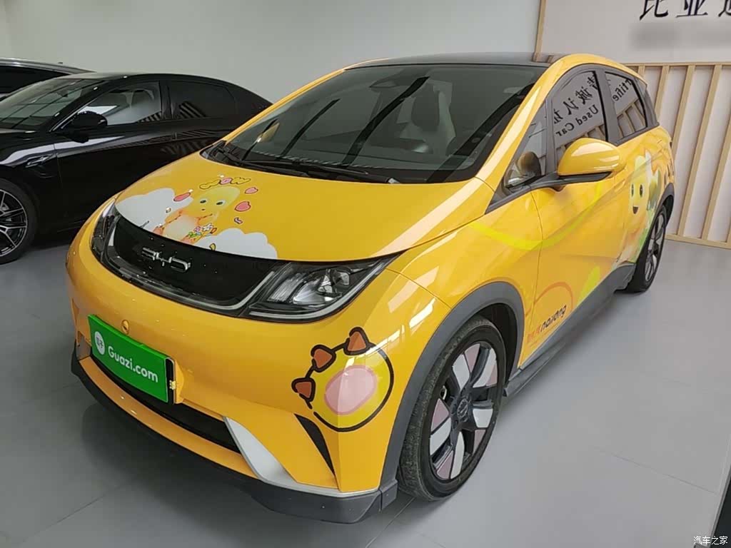 BYD Dolphin, 2023 1