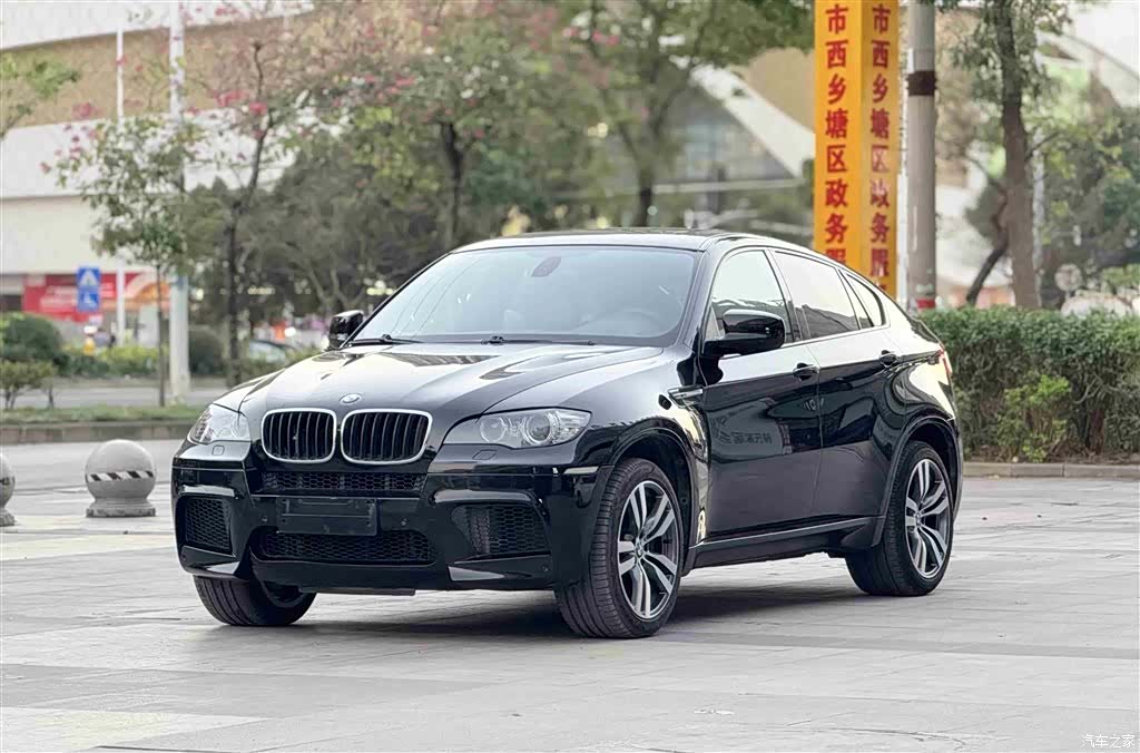 BMW X6, 2011 1