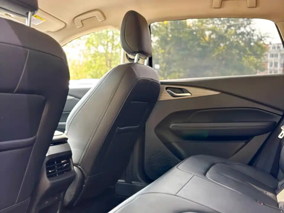 Wuling Wuling Starlight