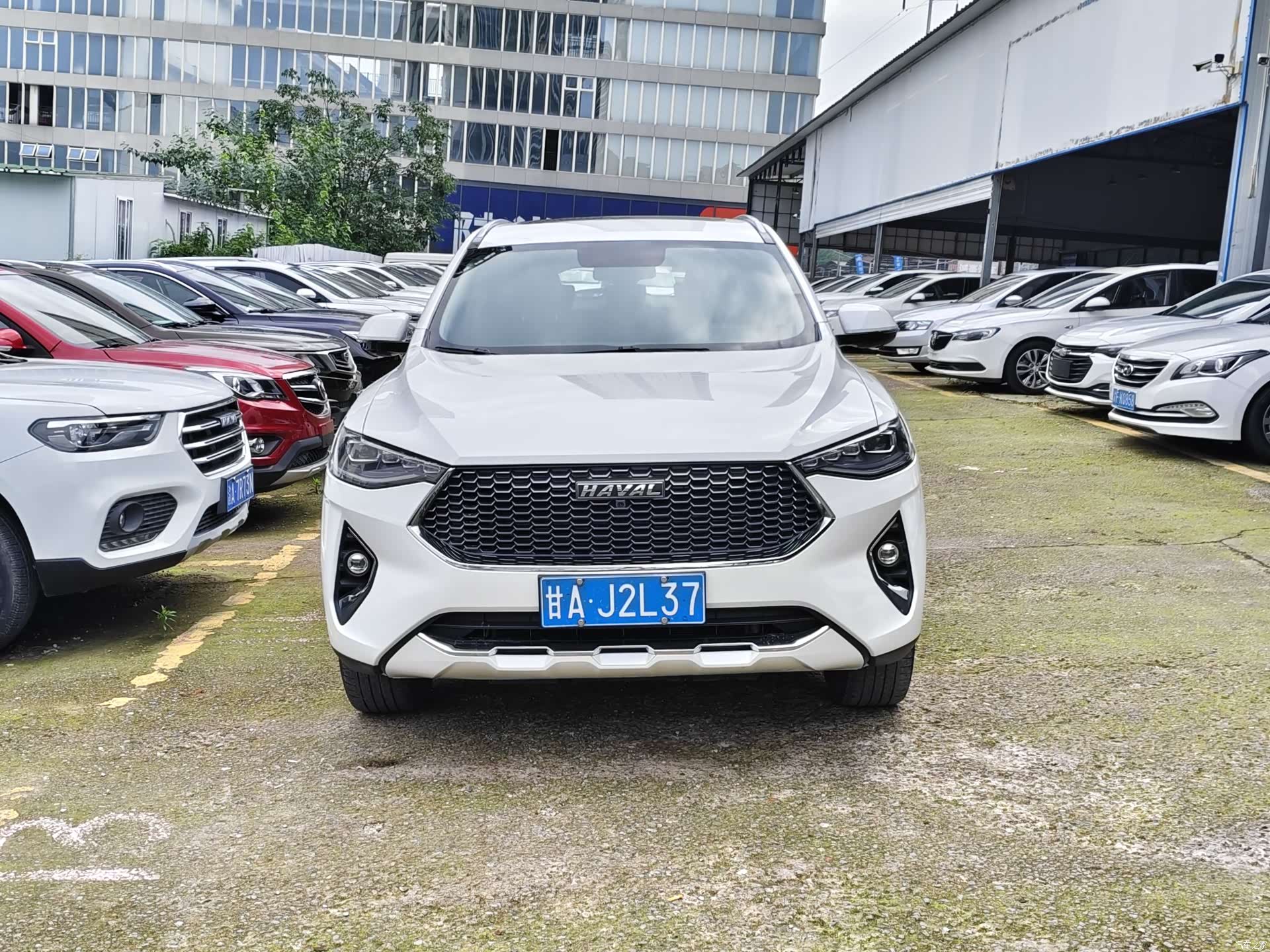 Haval F7, 2020 2