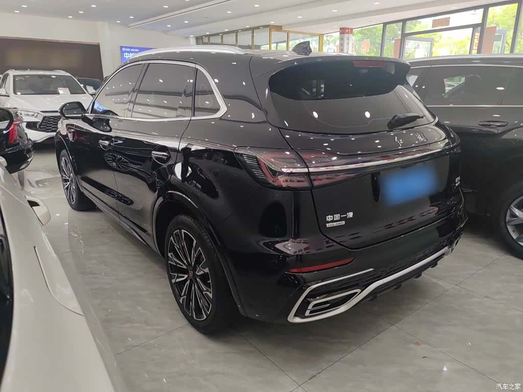 Hongqi HS5, 2024 6