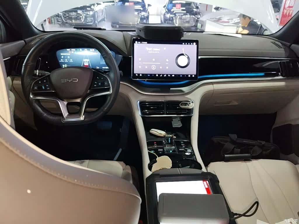 BYD Song, 2024 10