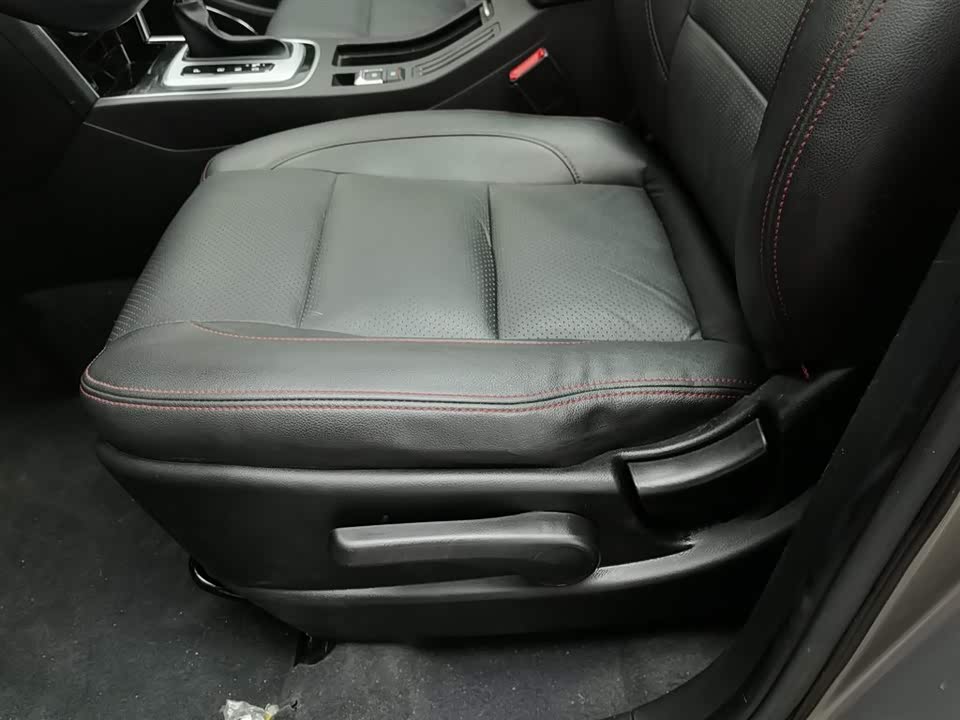 Leopaard Cheetah CS10