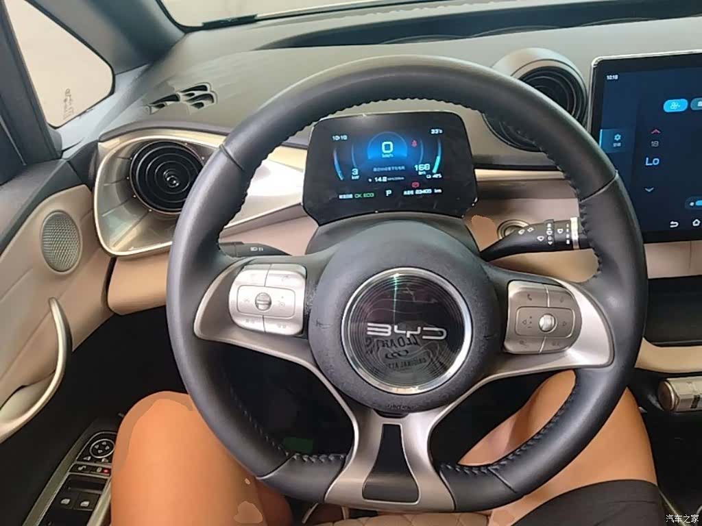 BYD Dolphin, 2022 11