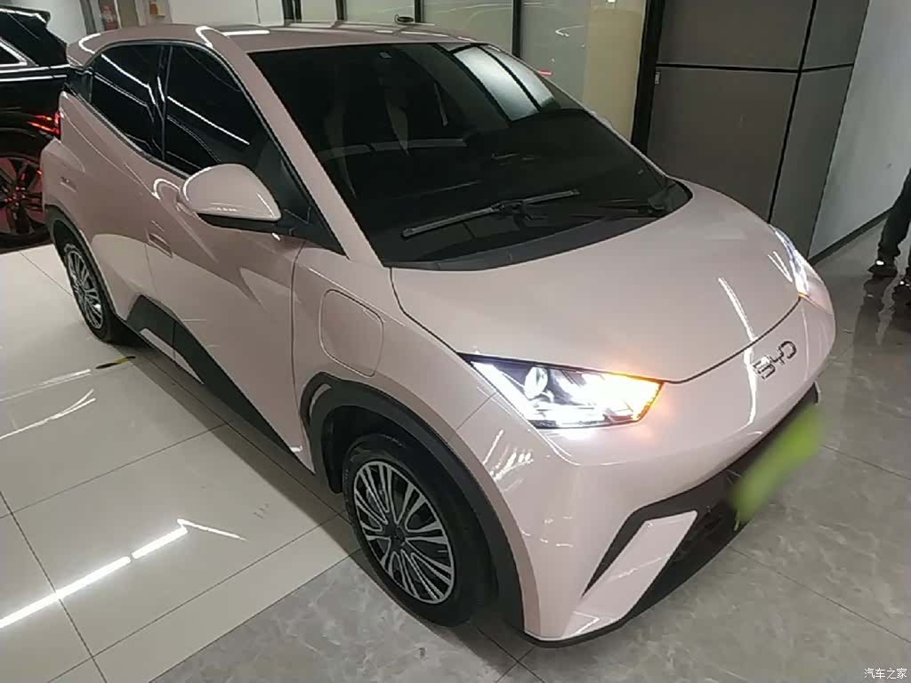 BYD Seagull, 2024 4