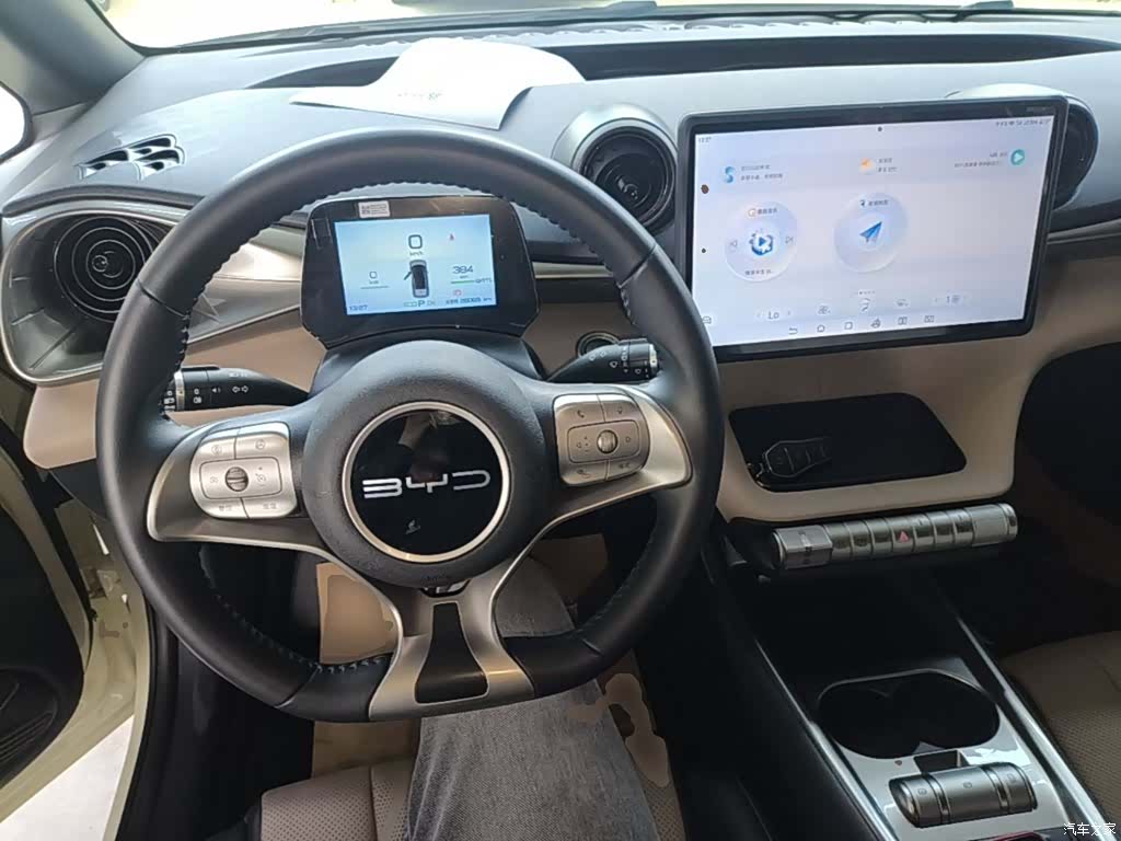 BYD Dolphin, 2023 10