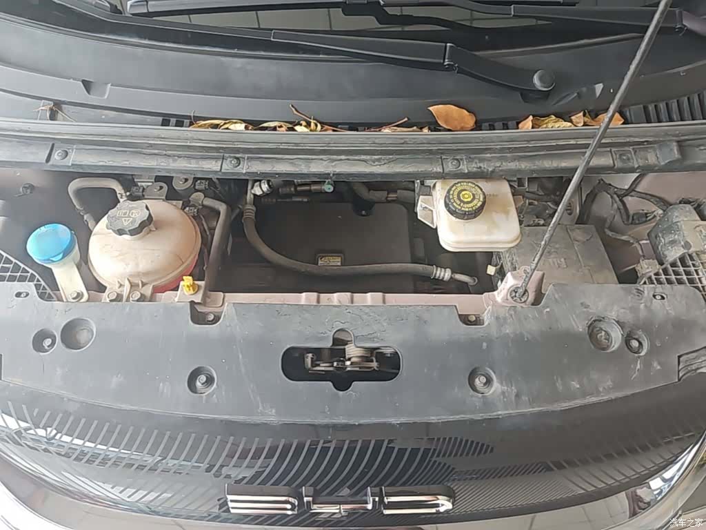 BYD Dolphin, 2023 20