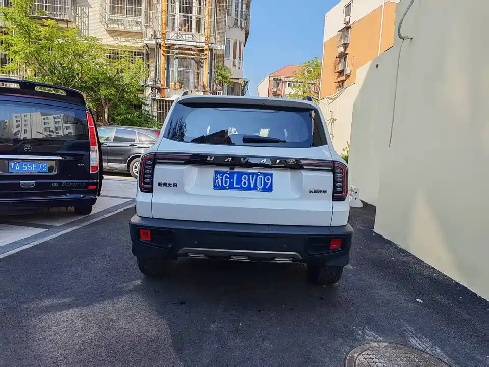 Haval Big dog