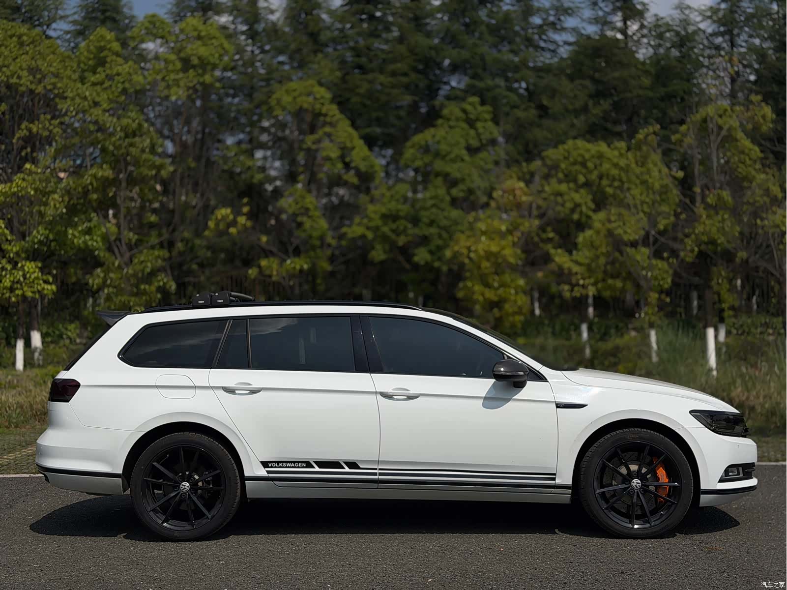 Volkswagen Variant, 2019 все фото
