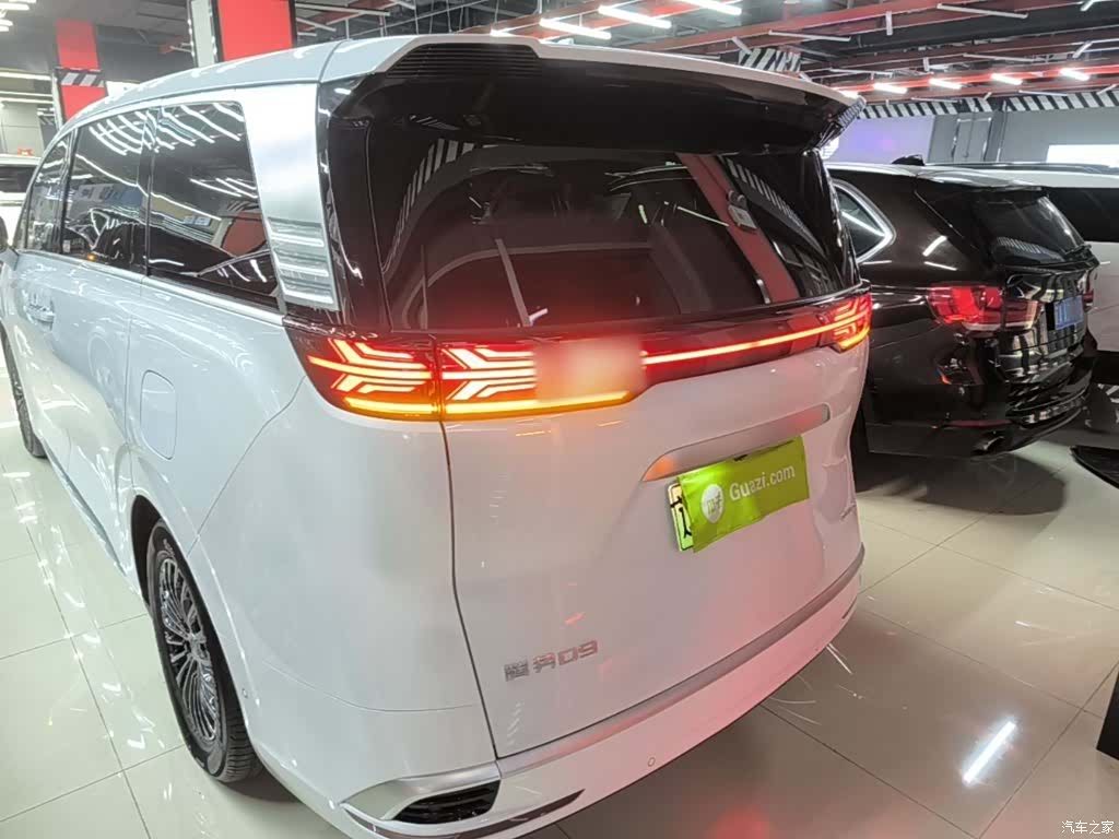 Denza D9, 2023 6