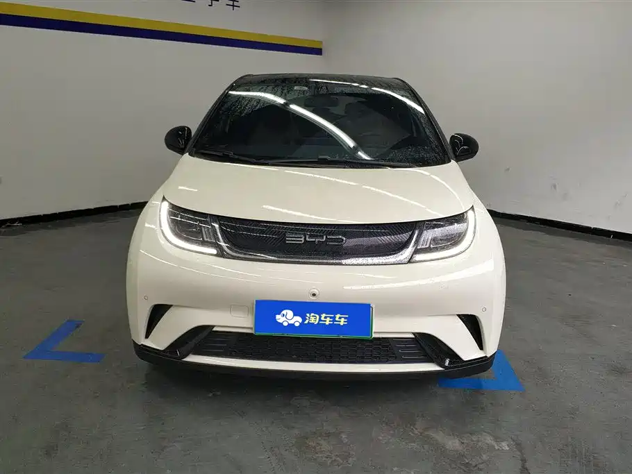 BYD dolphin BYD dolphin