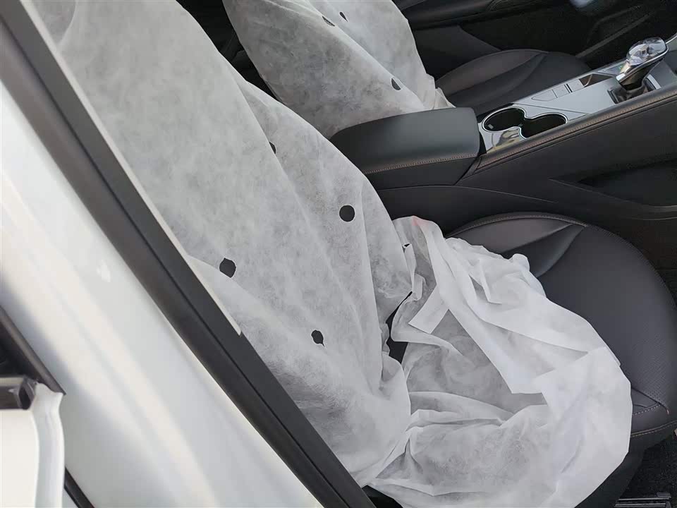 Roewe RX5 New energy