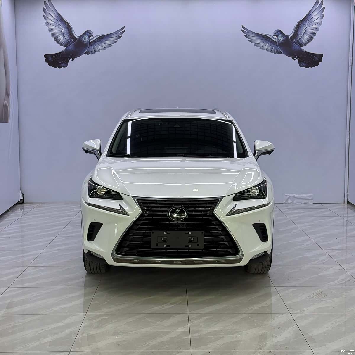 Lexus NX, 2021 2