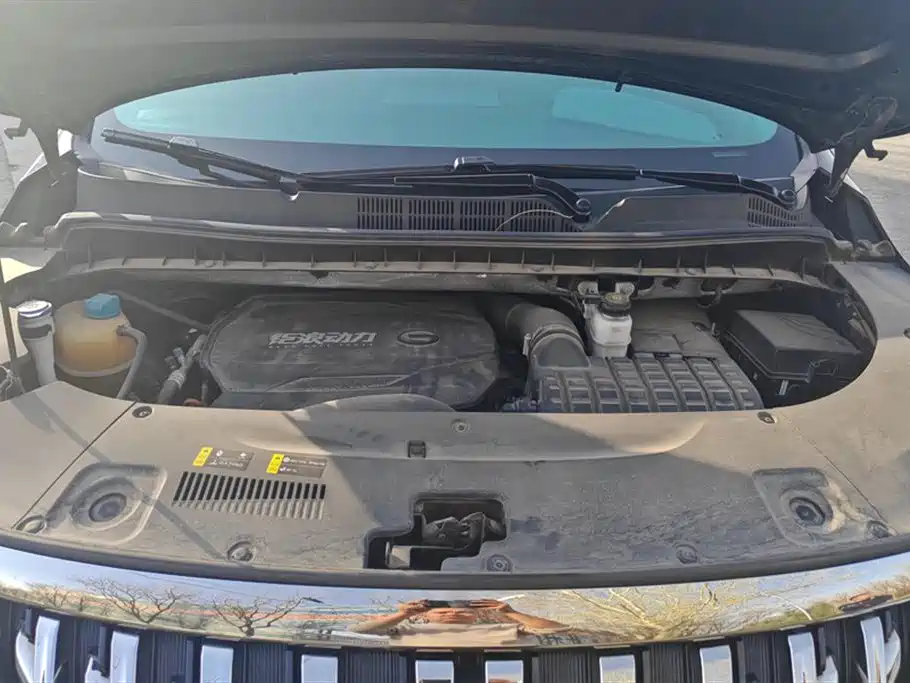 Trumpchi Trumpchi M8