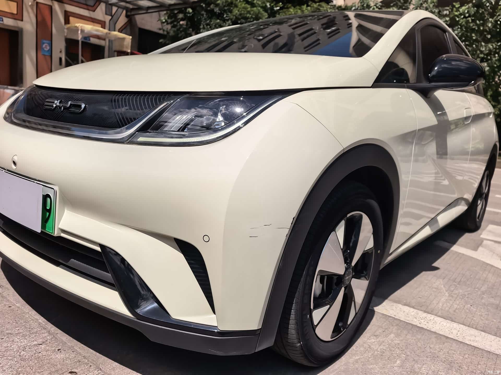 BYD Dolphin, 2023 4