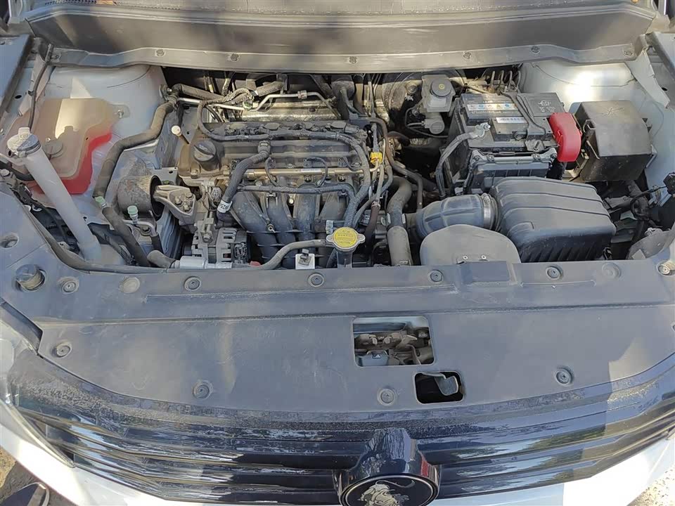 Forthing Popular SX6