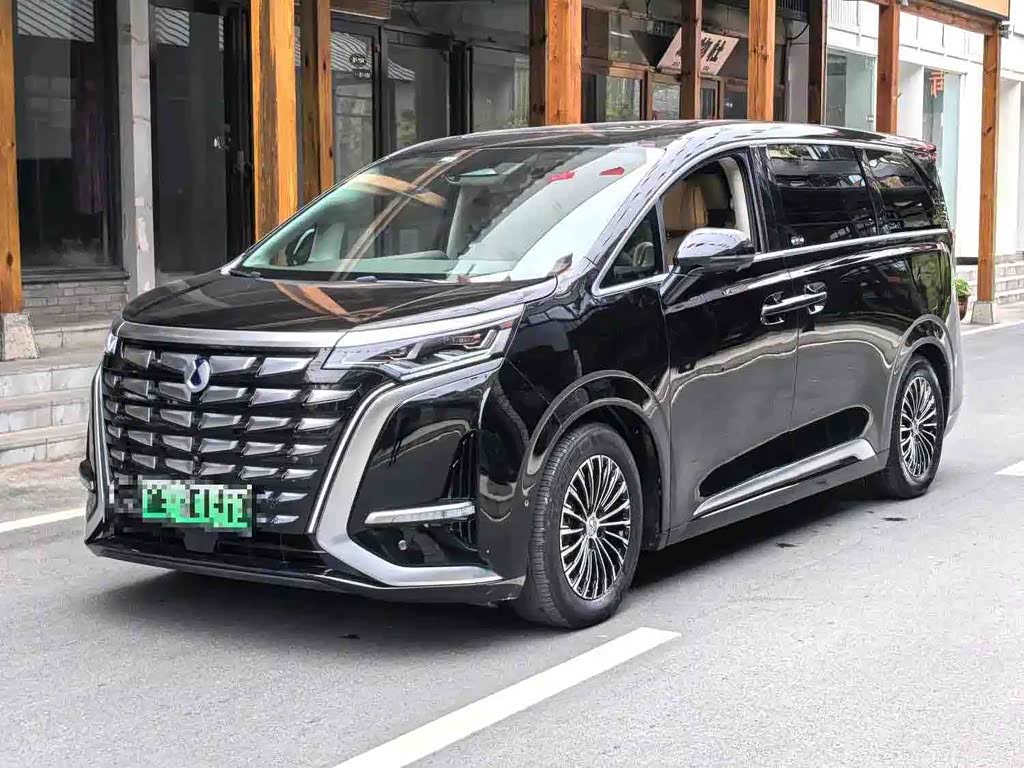 Denza D9