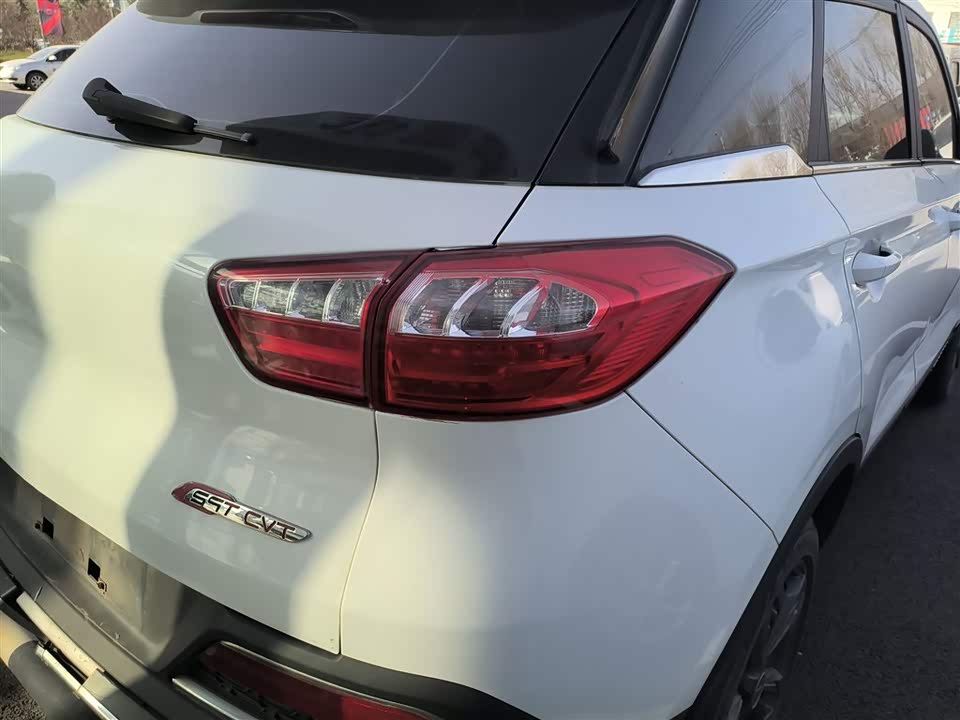 Leopaard Cheetah CS9