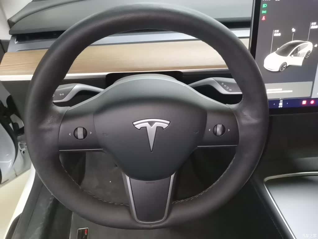 Tesla Model 3, 2021 11