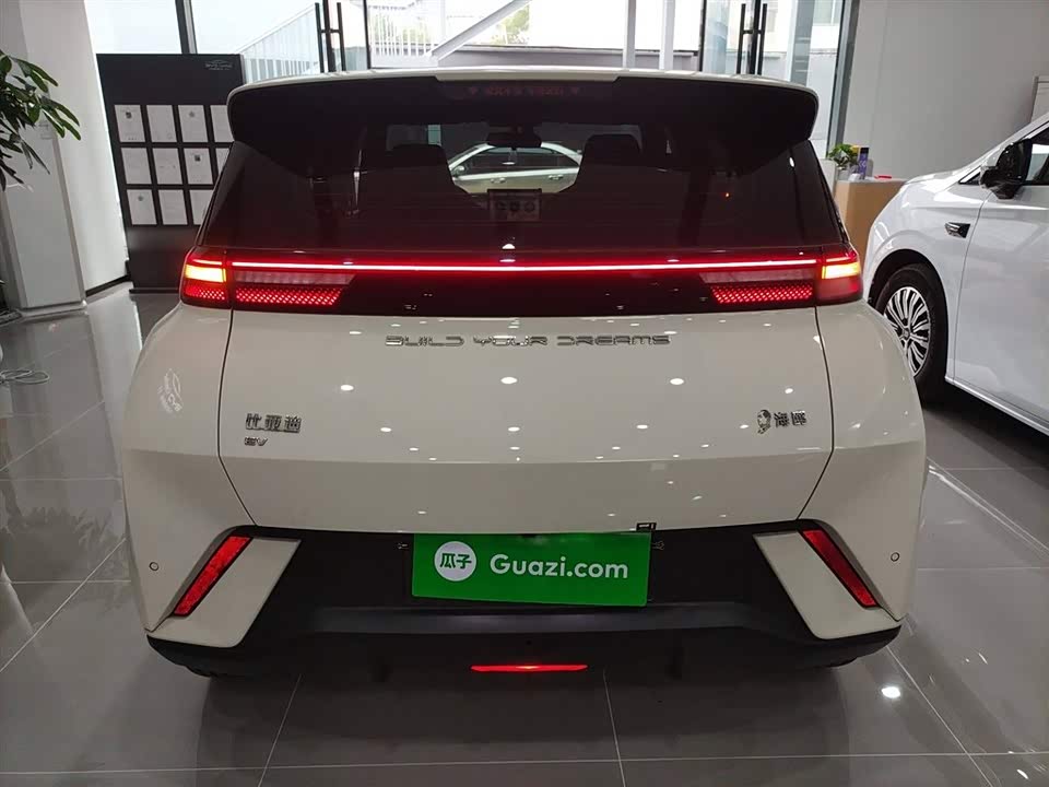 BYD Seagull