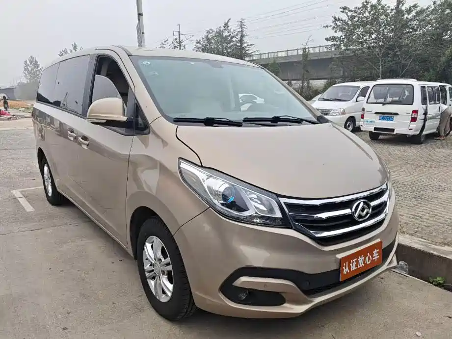 MAXUS Chase G10
