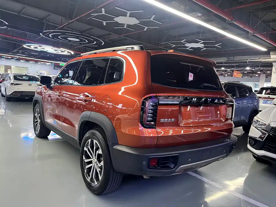 Haval Big dog