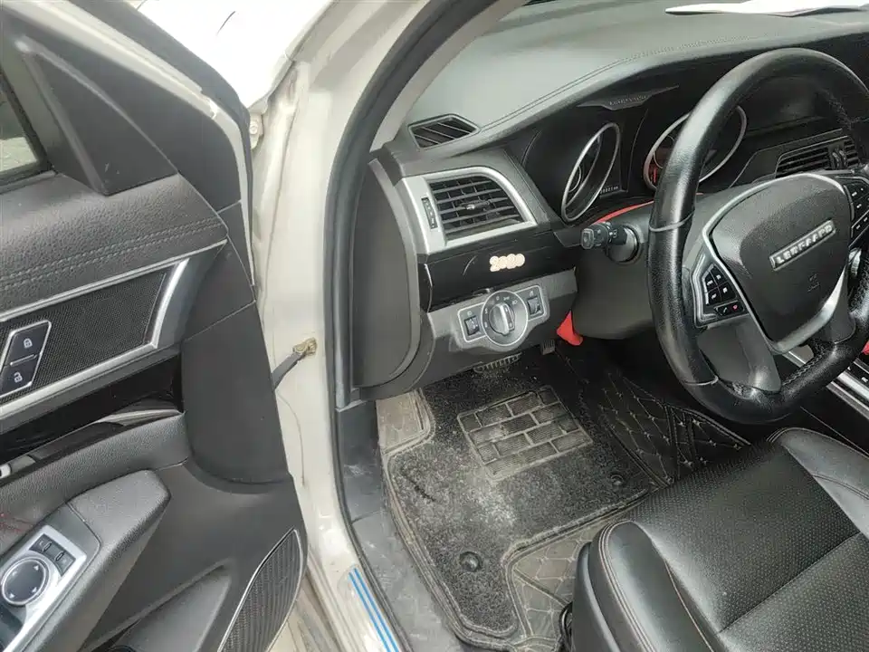 Leopaard Cheetah CS10