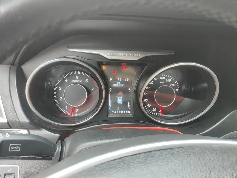 Leopaard Cheetah CS10