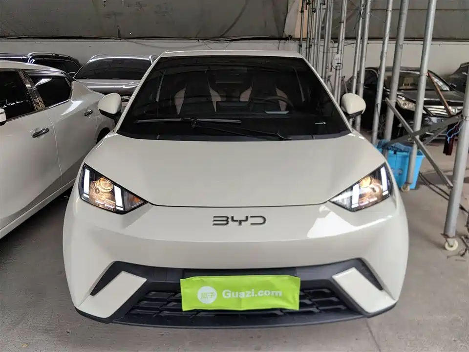 BYD Seagull