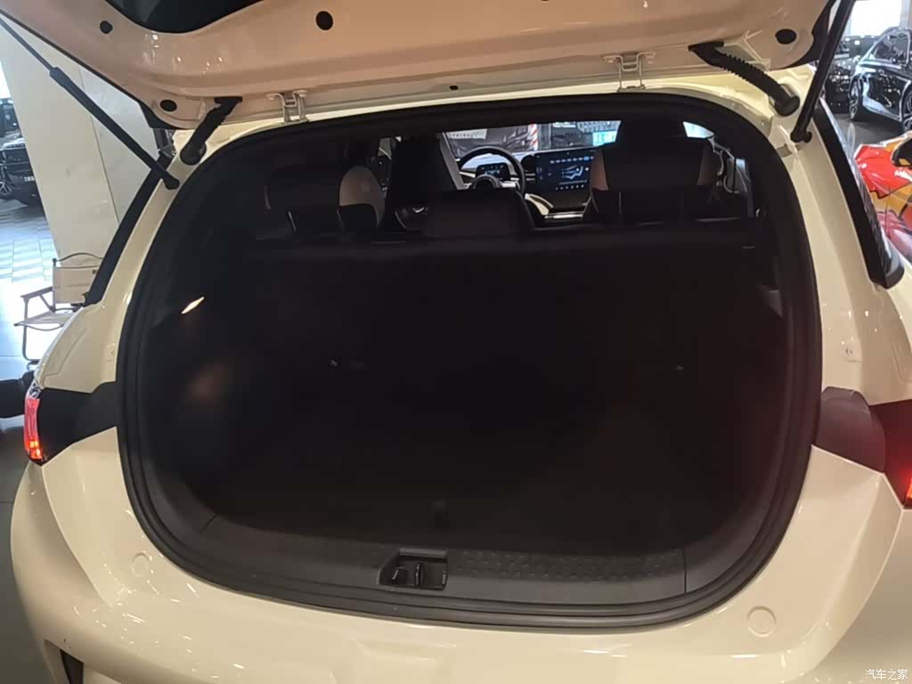BYD Dolphin, 2025 13