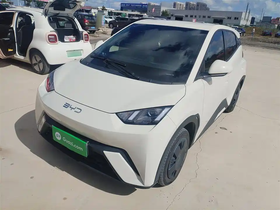 BYD Seagull