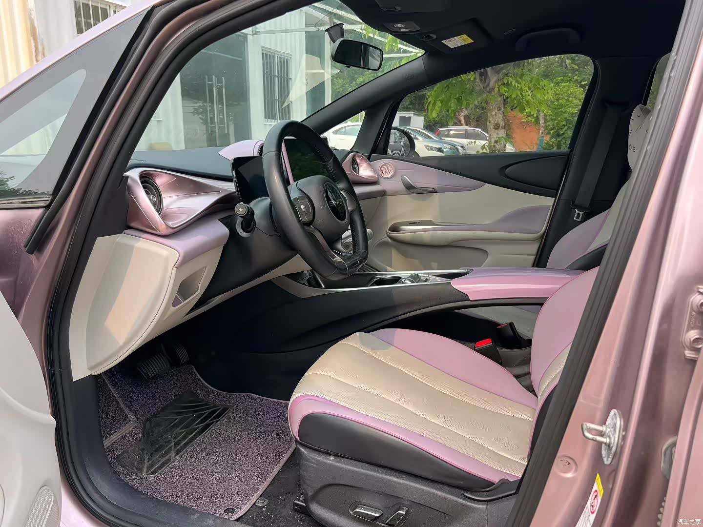BYD Dolphin, 2023 4
