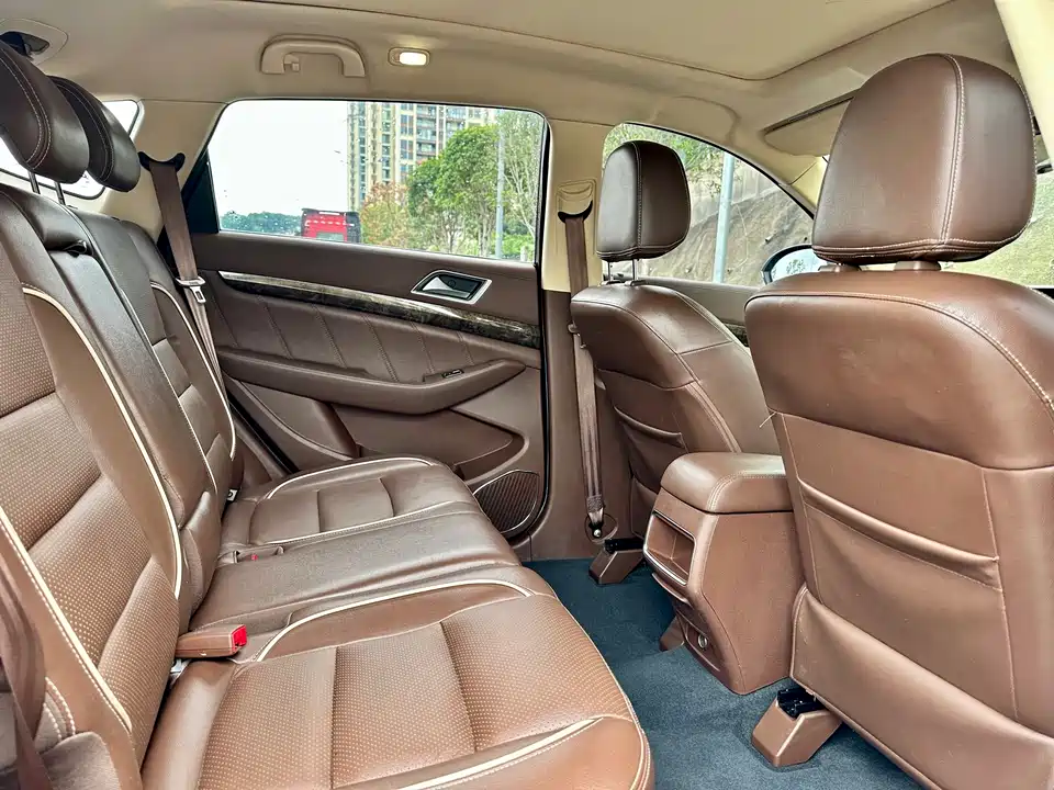 Leopaard Cheetah CS10