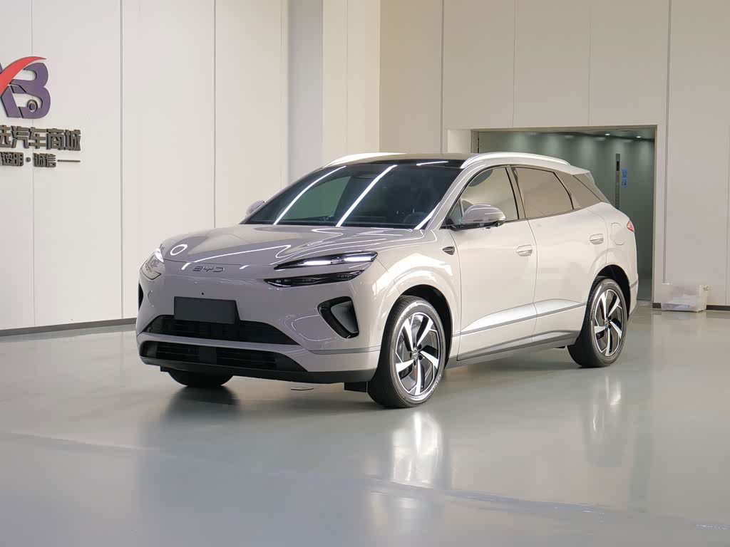 BYD Sea Lion 06